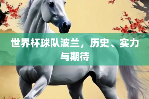 世界杯球队波兰，历史、实力与期待