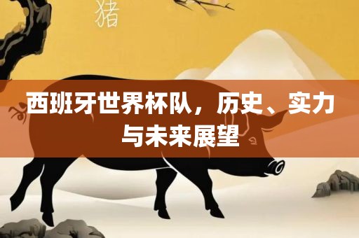 西班牙世界杯队，历史、实力与未来展望