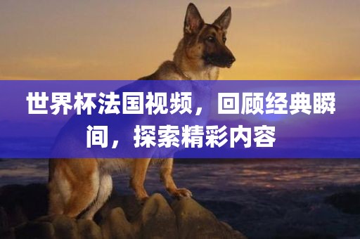 世界杯法国视频，回顾经典瞬间，探索精彩内容