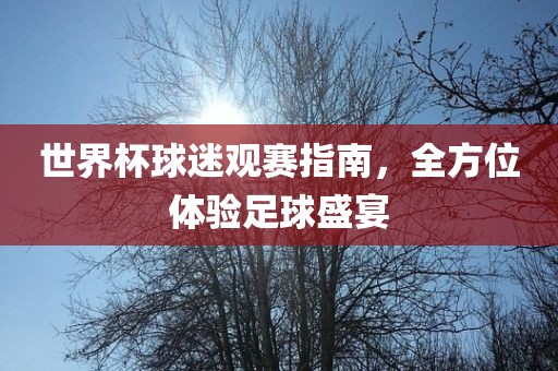 世界杯球迷观赛指南，全方位体验足球盛宴