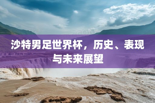 沙特男足世界杯，历史、表现与未来展望