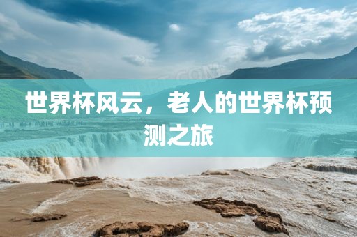 世界漯河市盈旭机械设备有限公司杯风云，老人的世界杯预测之旅