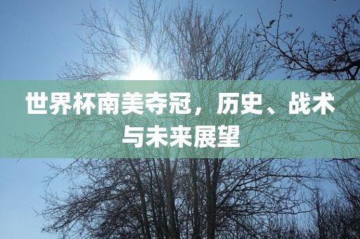 世界杯南美夺冠，历史、战术与未来展望