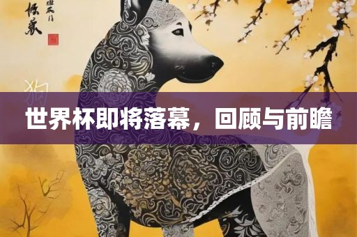 世界杯即将落幕，回顾与前瞻