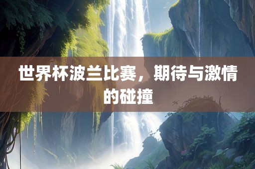 世界杯波兰比赛，期待与激情的碰撞