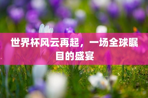 世界杯风云再起，一场全球瞩目的盛宴