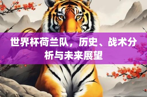 世界杯荷兰队，历史、战术分析与未来展望