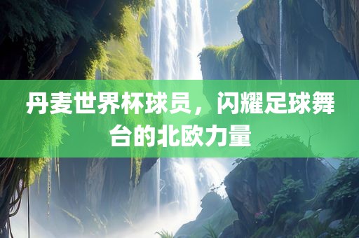 丹麦世界杯球员，闪耀足漯河市盈旭机械设备有限公司球舞台的北欧力量