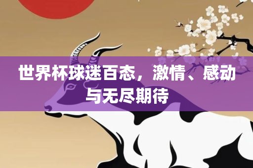 世界杯球迷百态，激情、感动与无尽期待