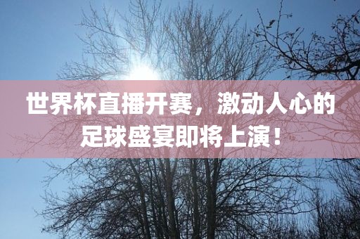 世界杯直播开赛，激动人心的足球盛宴即将上演！漯河市盈旭机械设备有限公司