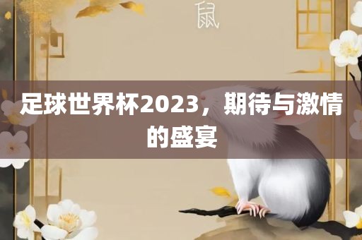 足球世界杯2023，期待与激情的盛宴