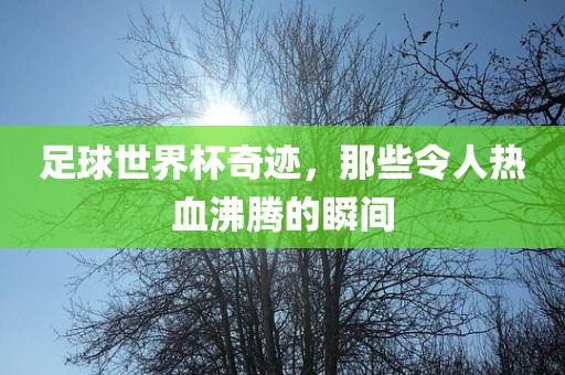 足球世界杯奇迹，那些令人热血沸腾的瞬间