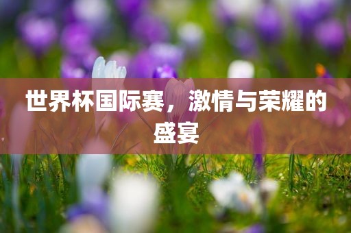 世界漯河市盈旭机械设备有限公司杯国际赛，激情与荣耀的盛宴