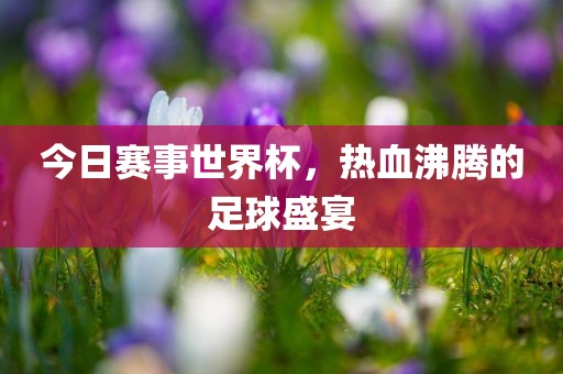 今日赛事世界杯，热血沸腾的足球盛宴漯河市盈旭机械设备有限公司