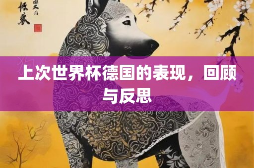 上次世界杯德国的表现，回顾与反思