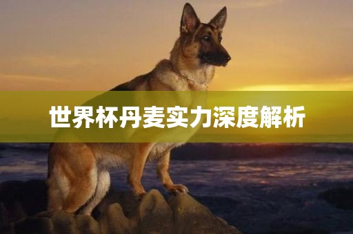 世界杯丹麦实力深度解析漯河市盈旭机械设备有限公司