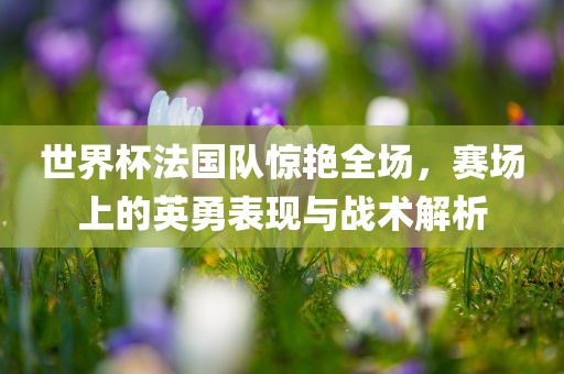 世界杯法国队惊艳全场，赛场上的英勇表现与战术解析