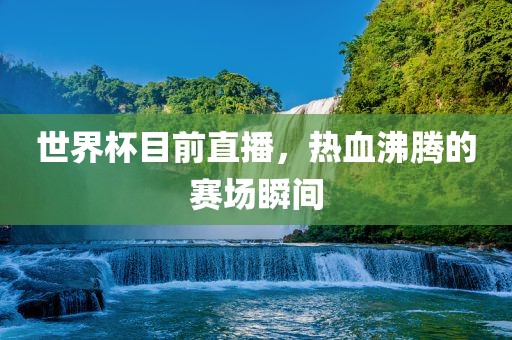 世界杯目前直播，热血沸腾的赛场瞬间
