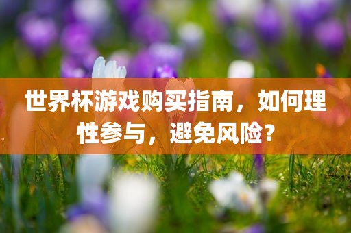 世界杯游戏购买指南，如何理性参与，避免风险？