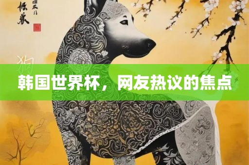 韩国世界杯，网友热议的焦点