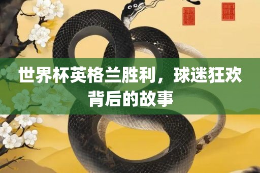 世界杯英格兰胜利，球迷狂欢背后的故事