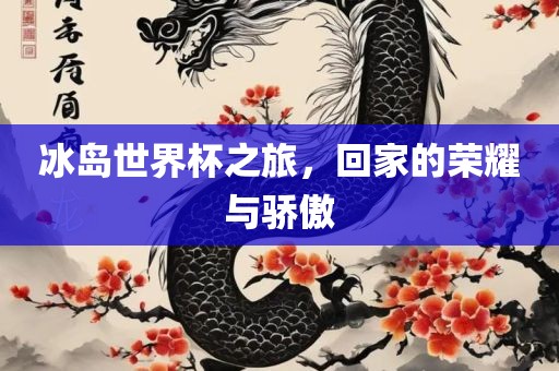 冰岛世界杯之旅，回家的荣耀与骄傲