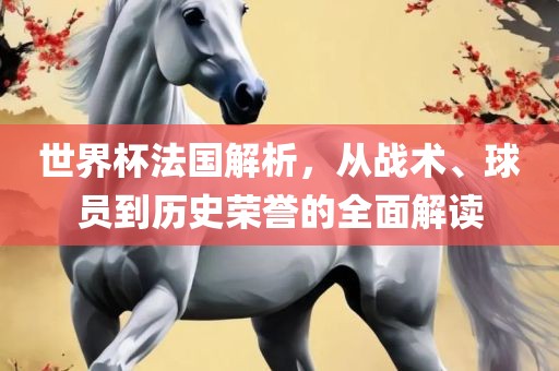世界杯法国解析，从战术、球员到历史荣誉的全面解读