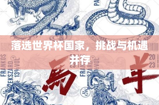 落选世界杯国家，挑战与机遇并存