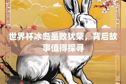 世界杯冰岛虽败犹荣，背后故事值得探寻