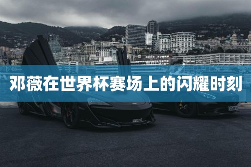 邓薇在世界杯赛场上的闪耀时刻漯河市盈旭机械设备有限公司