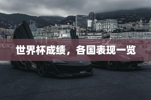 huangpingyue 第12页