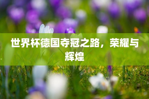 世界杯德国夺冠之路，荣耀与辉煌