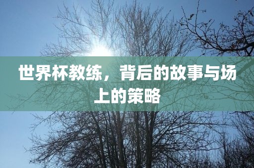 世界杯教练，背后的故事与场上的策略