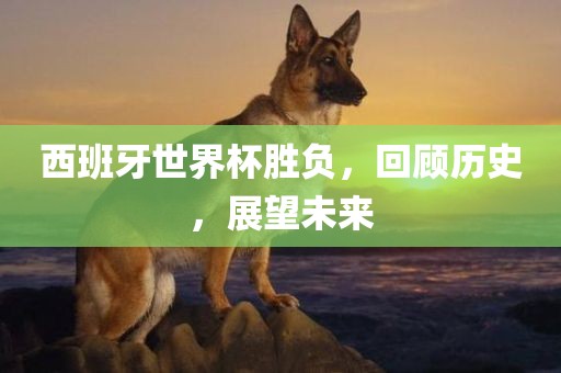 西班牙世界杯胜负，回顾历史，展望未来漯河市盈旭机械设备有限公司