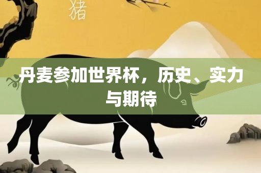 丹麦参加世界杯，历史、实力与期待