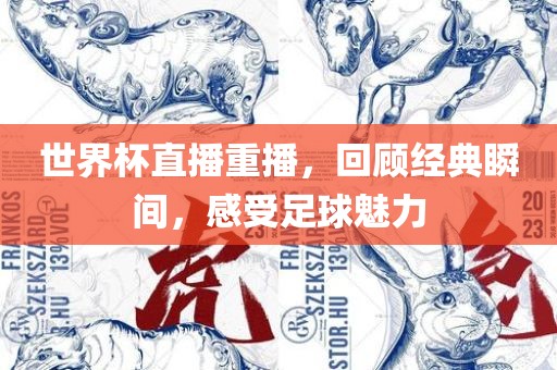 世界杯直播重播，回顾经典瞬间，感受足球魅力