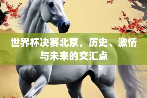 世界杯决赛北京，历史、激情与未来的交汇点