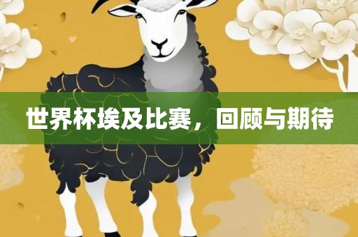 世界杯埃及比赛，回顾与期待