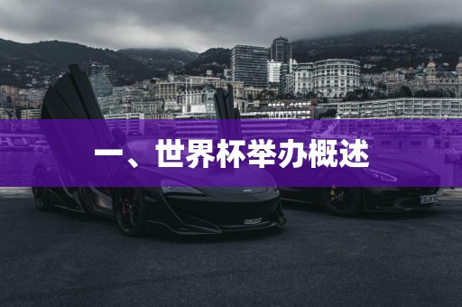 一、世界杯举办概述漯河市盈旭机械设备有限公司