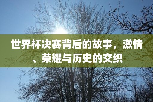 世界杯决赛背后的故事，激情、荣耀与历史的交织漯河市盈旭机械设备有限公司
