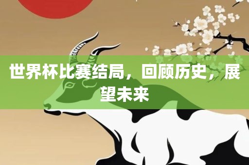 世界杯比赛结局，回顾历史，展望未来