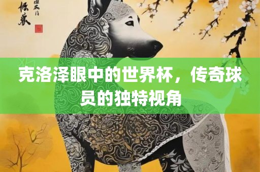 克洛泽眼中的世界杯漯河市盈旭机械设备有限公司，传奇球员的独特视角