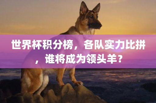 世界杯积分榜，各队实力比拼，谁将成为领头羊？