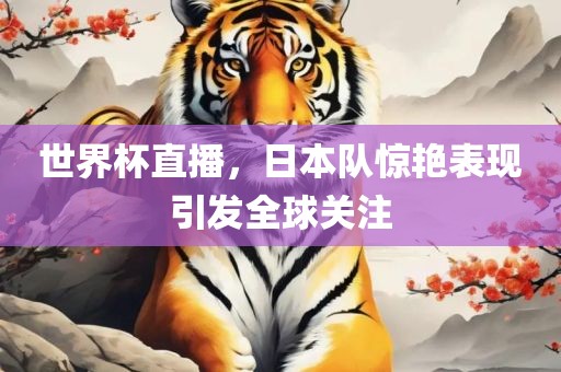 世界杯直播，日本队惊艳表现引发全球关注漯河市盈旭机械设备有限公司