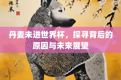 丹麦未进世界杯，探寻背后的原因与未来展望