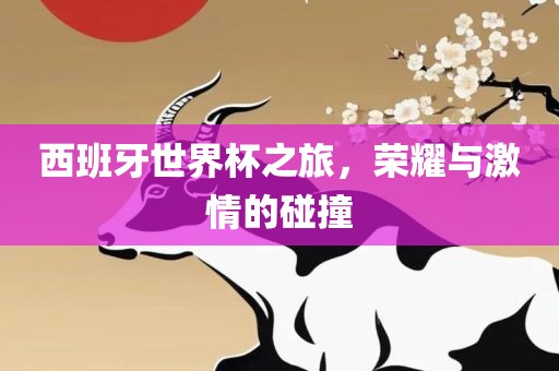 西班牙世界杯之旅，荣耀与激情的碰撞