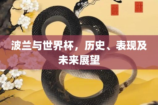 波兰与世界杯，历史、表现及未来展望