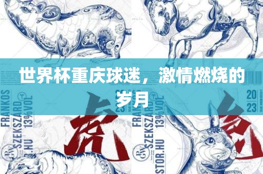 世界杯重庆球迷，激情燃烧的岁月