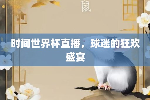 时间世界杯直播，球迷的狂欢盛宴
