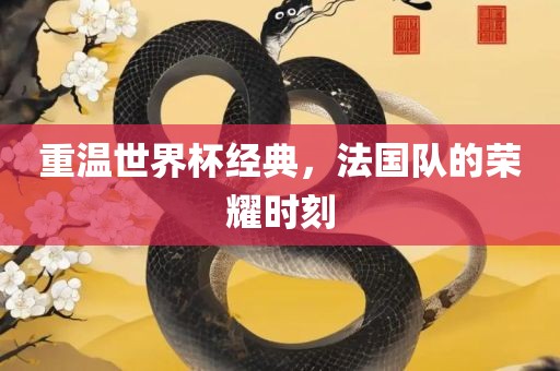 法国队荣耀时刻